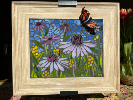 Fyr Bal Echinacea Mosaic