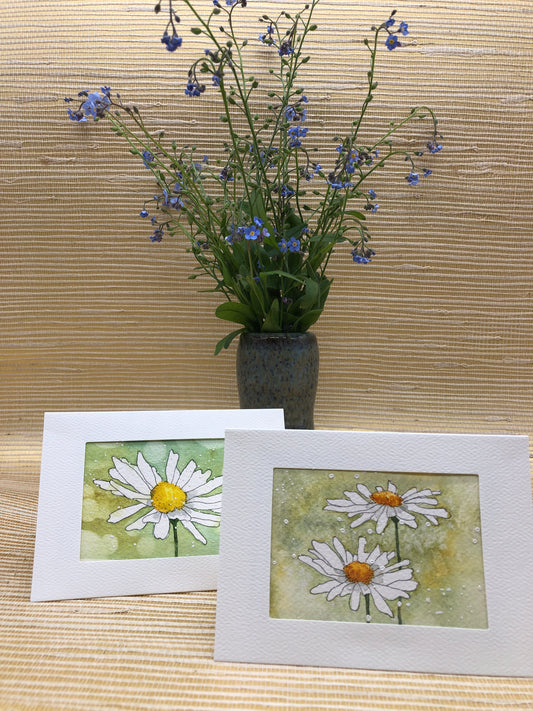 Sketchbook theme original watercolor notecards; Daisy 2-pack